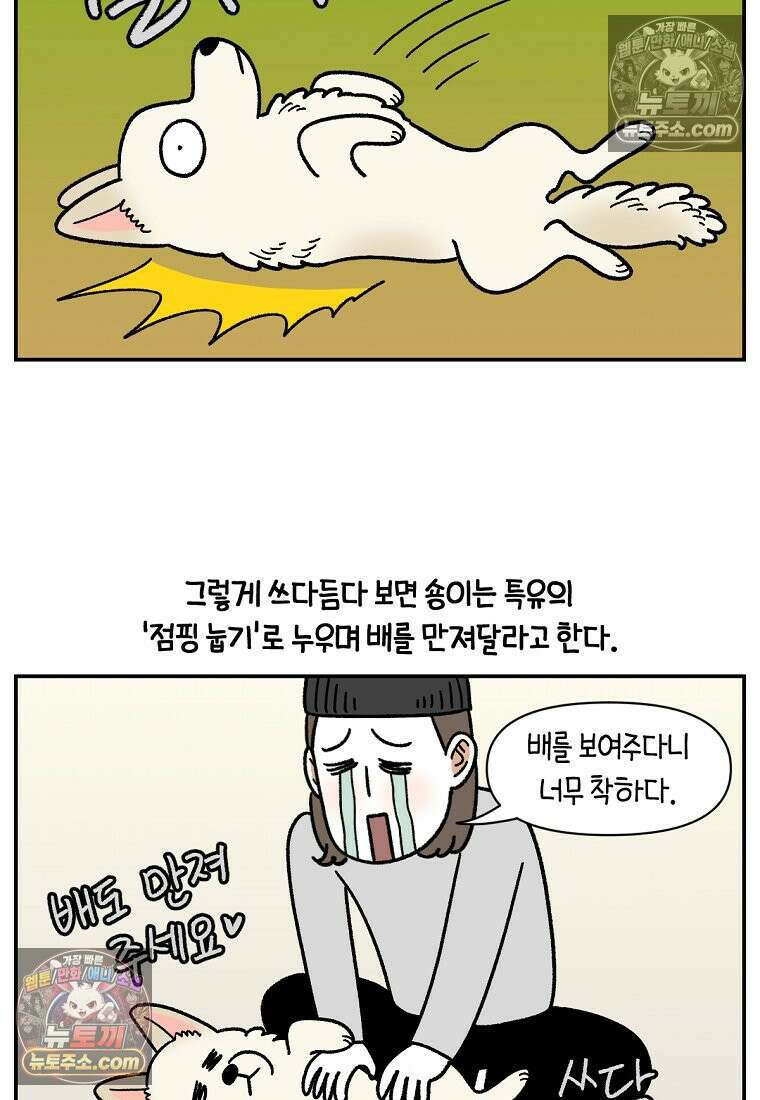 극한견주 시즌2 112화 쓰다듬어주세요 5