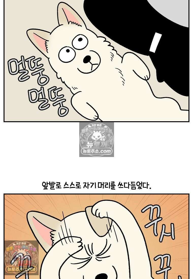 극한견주 시즌2 112화 쓰다듬어주세요 8