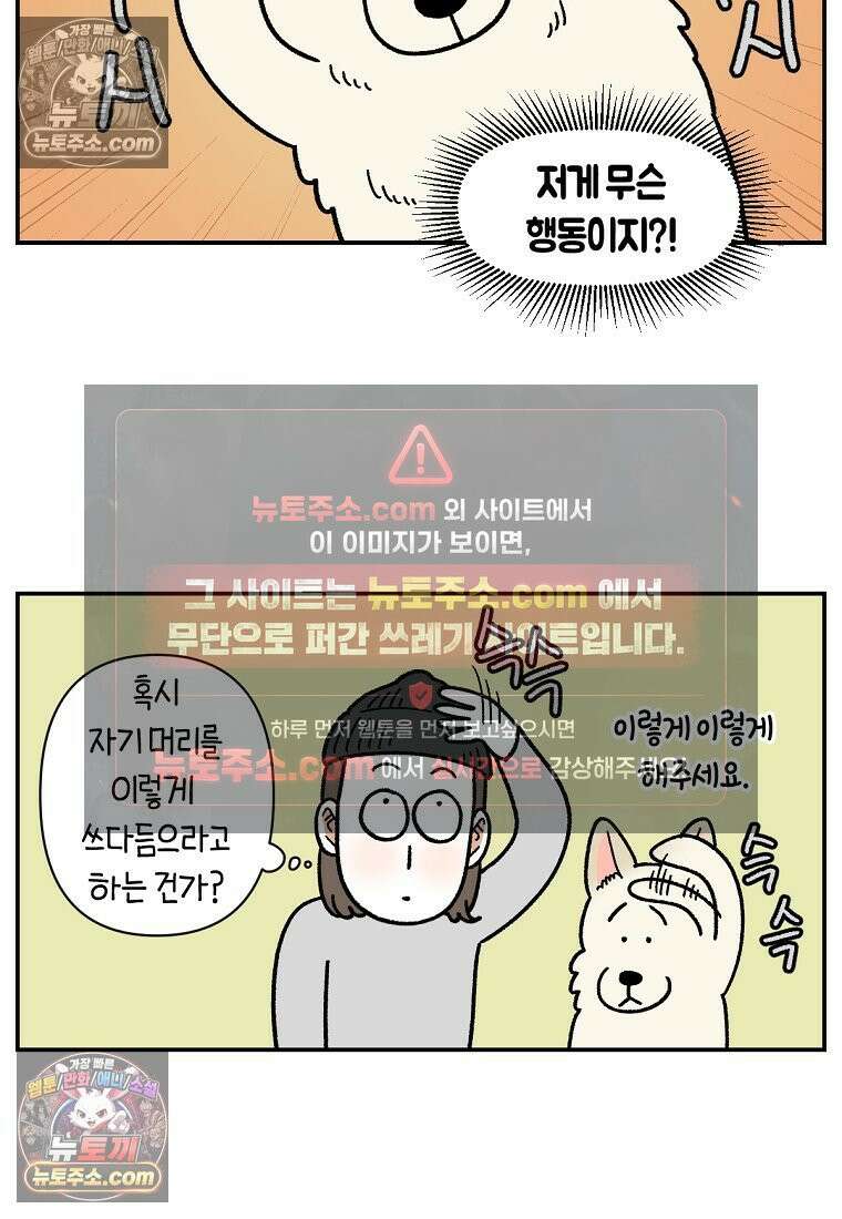 극한견주 시즌2 112화 쓰다듬어주세요 9