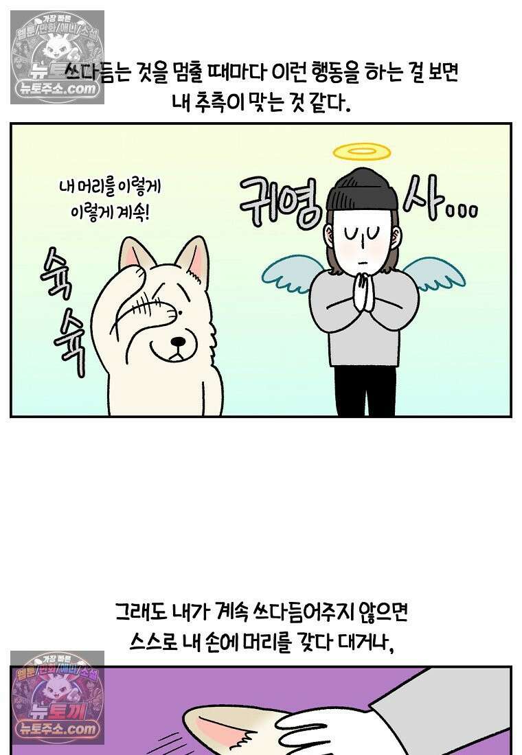 극한견주 시즌2 112화 쓰다듬어주세요 10