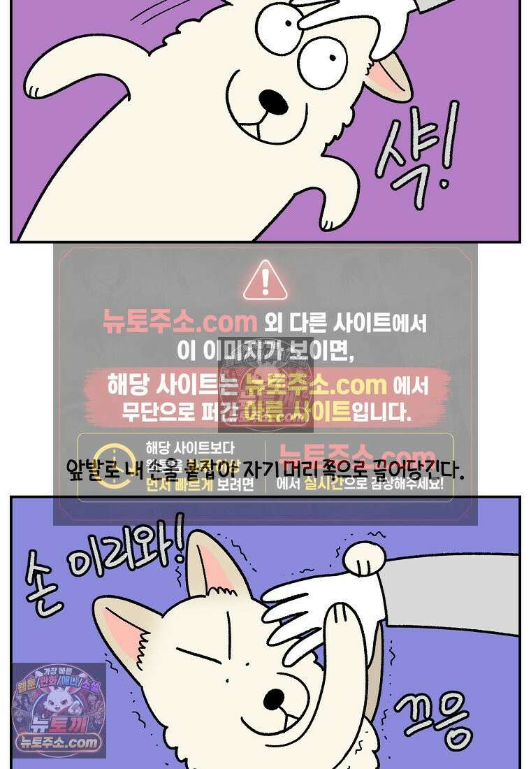 극한견주 시즌2 112화 쓰다듬어주세요 11