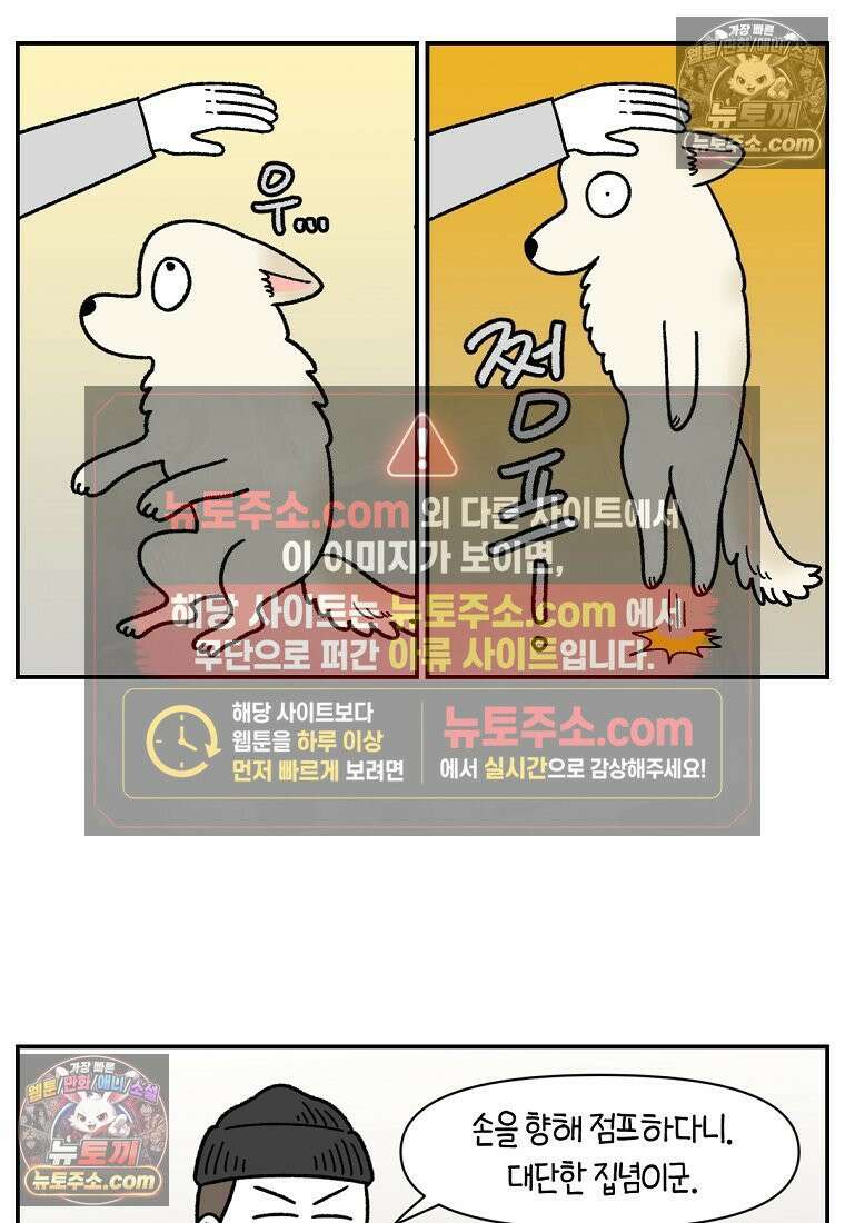 극한견주 시즌2 112화 쓰다듬어주세요 14