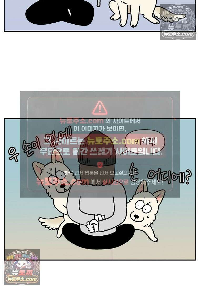 극한견주 시즌2 112화 쓰다듬어주세요 16