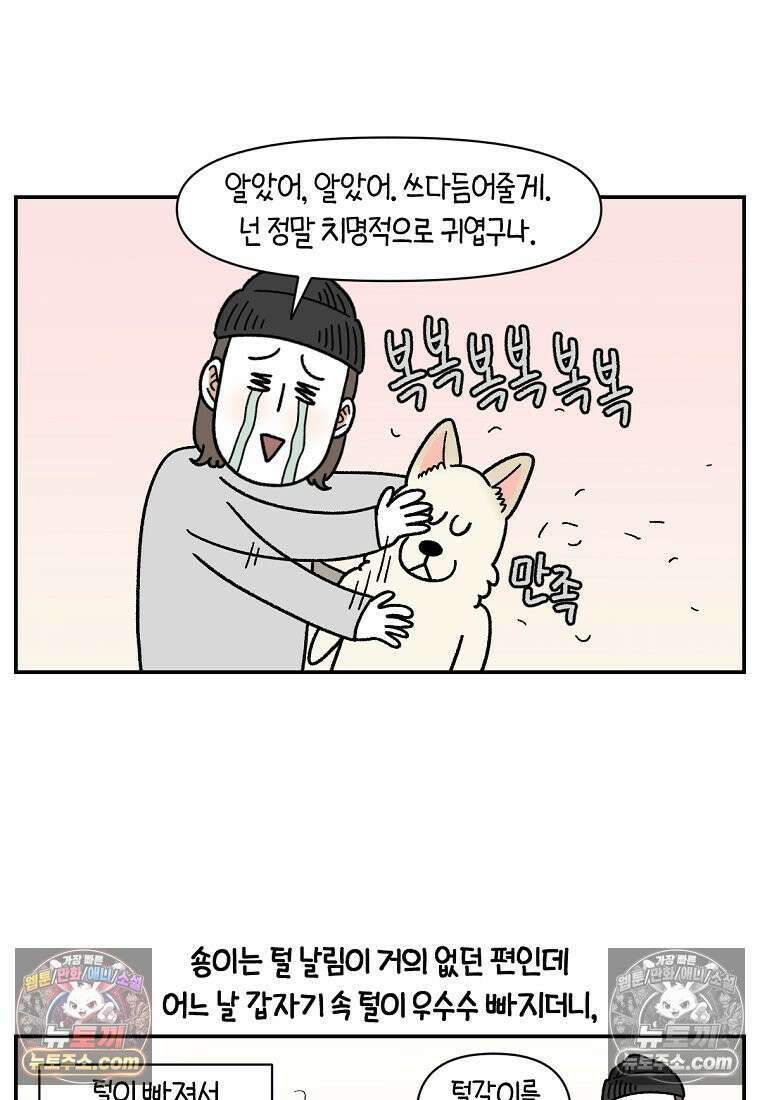 극한견주 시즌2 112화 쓰다듬어주세요 20
