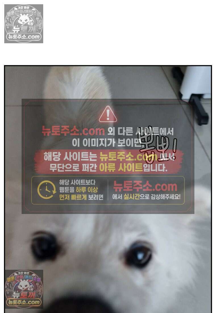 극한견주 시즌2 112화 쓰다듬어주세요 24
