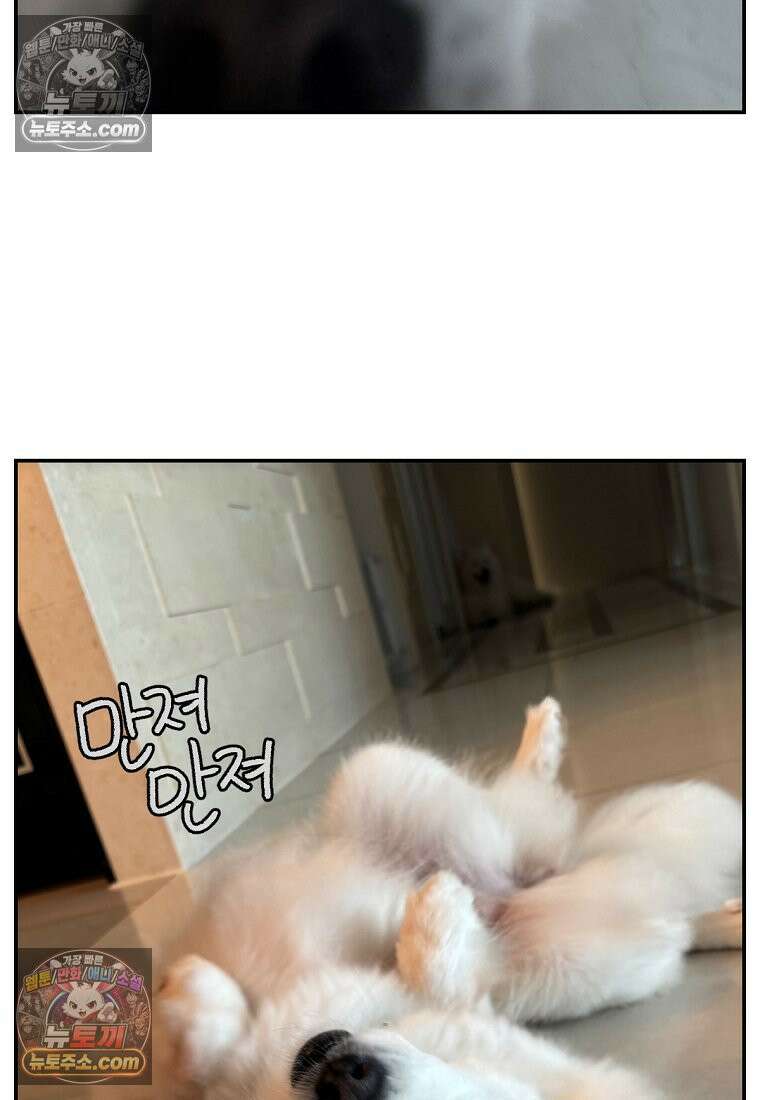 극한견주 시즌2 112화 쓰다듬어주세요 25