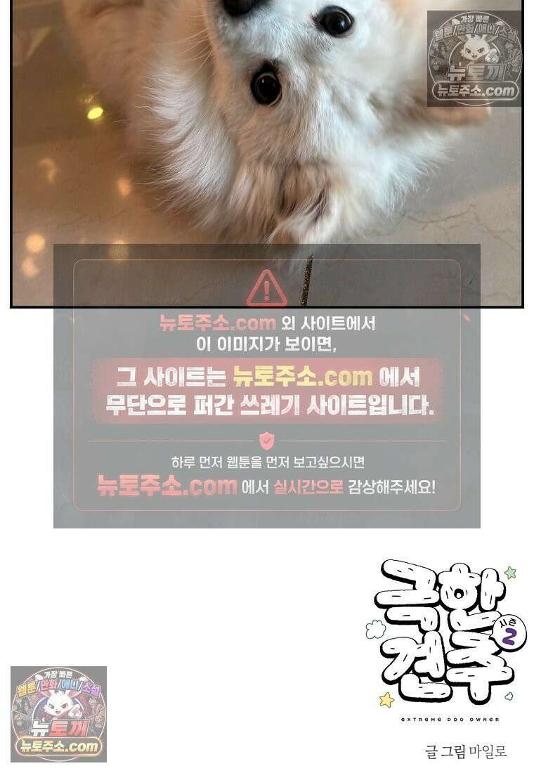 극한견주 시즌2 112화 쓰다듬어주세요 26