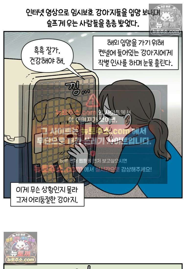 극한견주 시즌2 122화 임시보호 기간 2