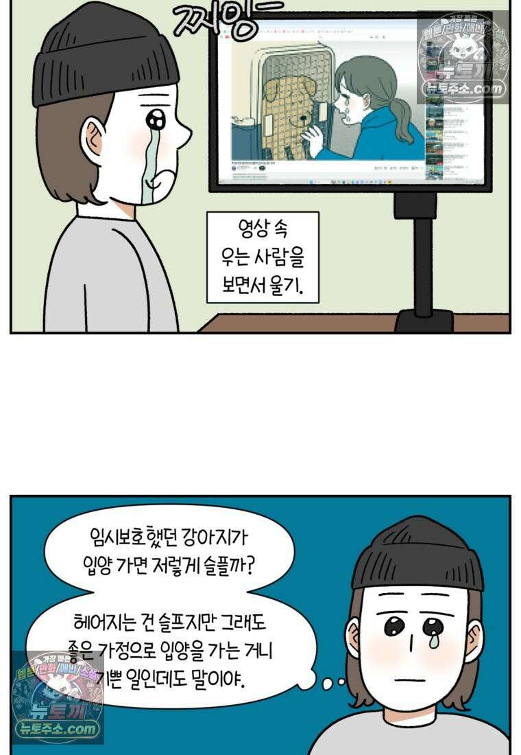 극한견주 시즌2 122화 임시보호 기간 3