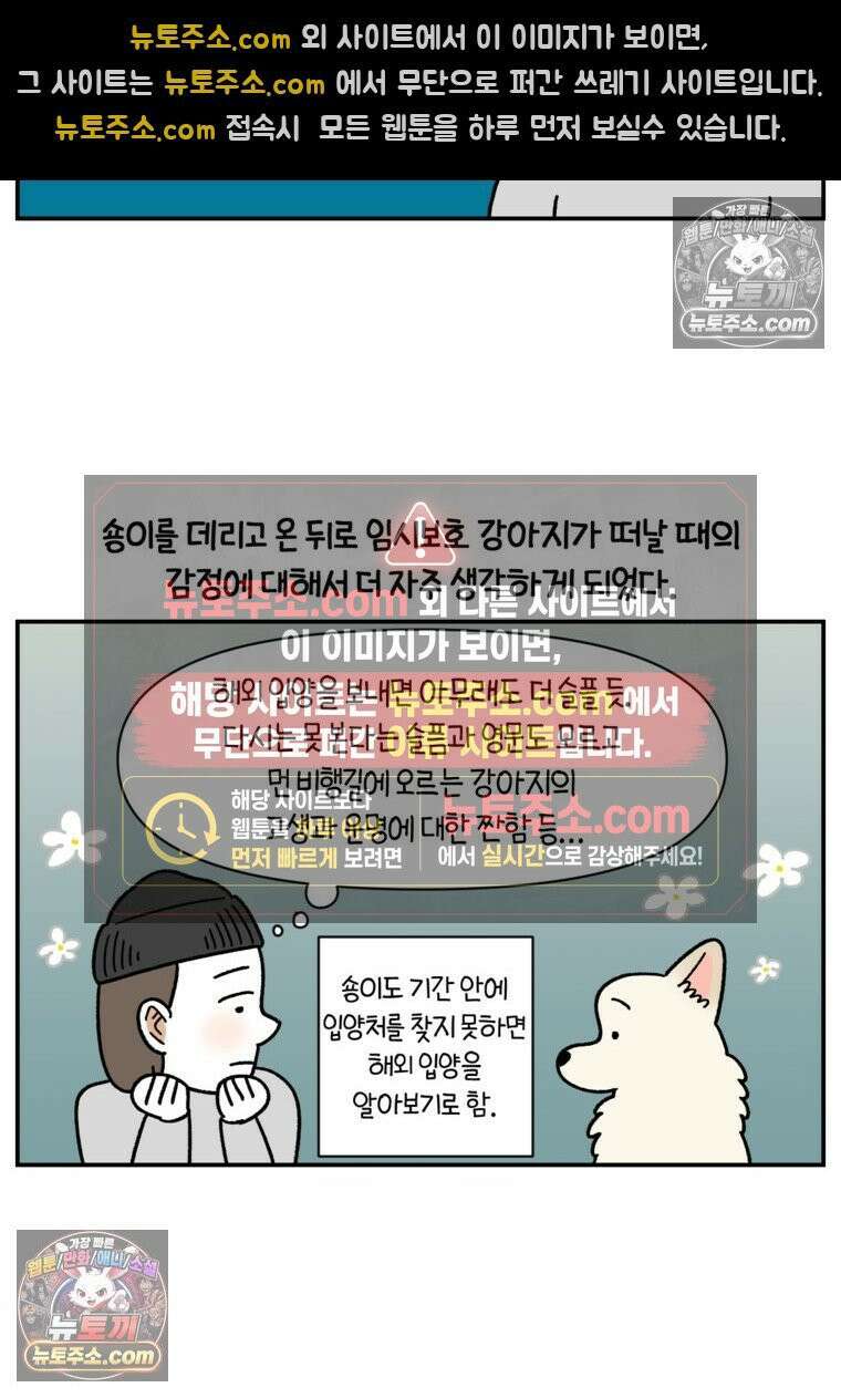 극한견주 시즌2 122화 임시보호 기간 4