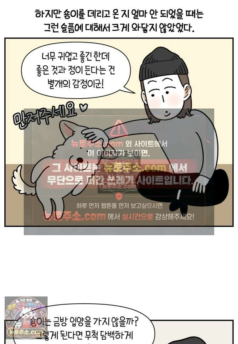 극한견주 시즌2 122화 임시보호 기간 5