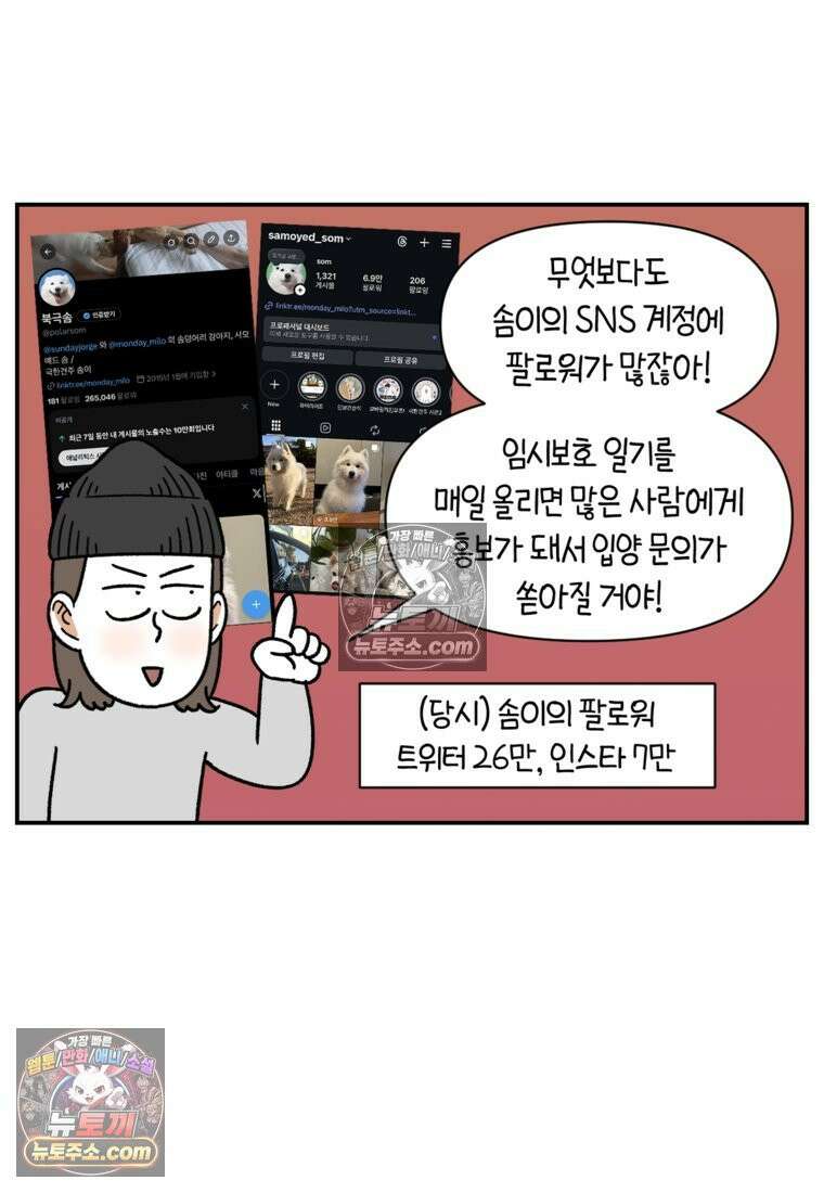 극한견주 시즌2 122화 임시보호 기간 8