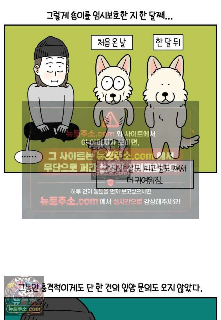 극한견주 시즌2 122화 임시보호 기간 9