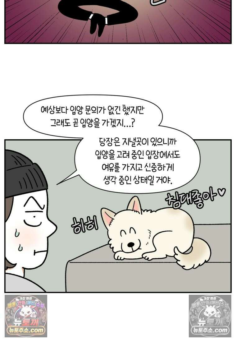 극한견주 시즌2 122화 임시보호 기간 11