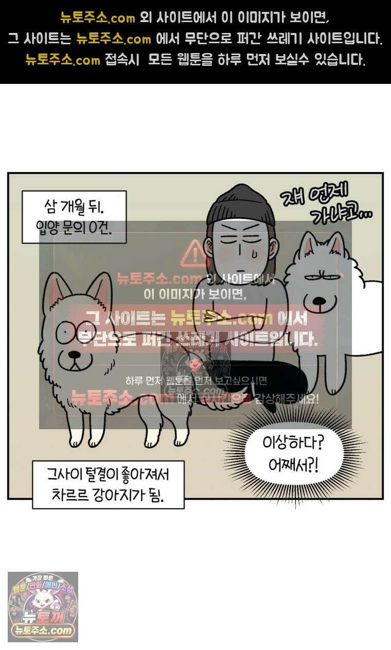 극한견주 시즌2 122화 임시보호 기간 12