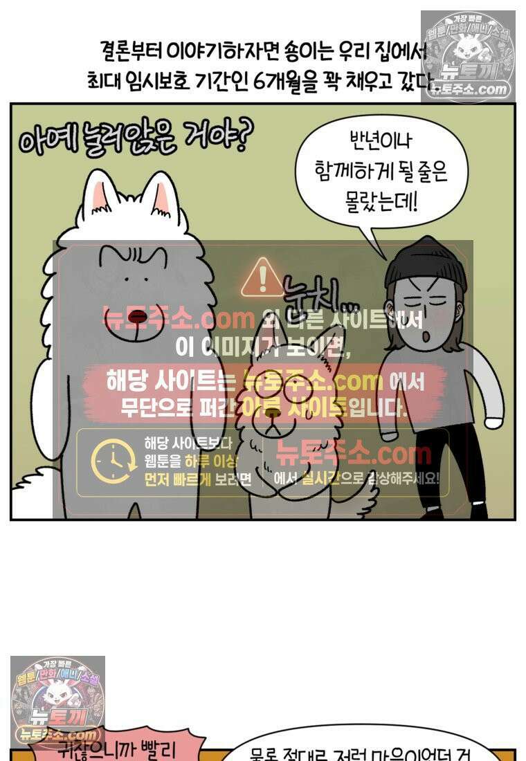 극한견주 시즌2 122화 임시보호 기간 13