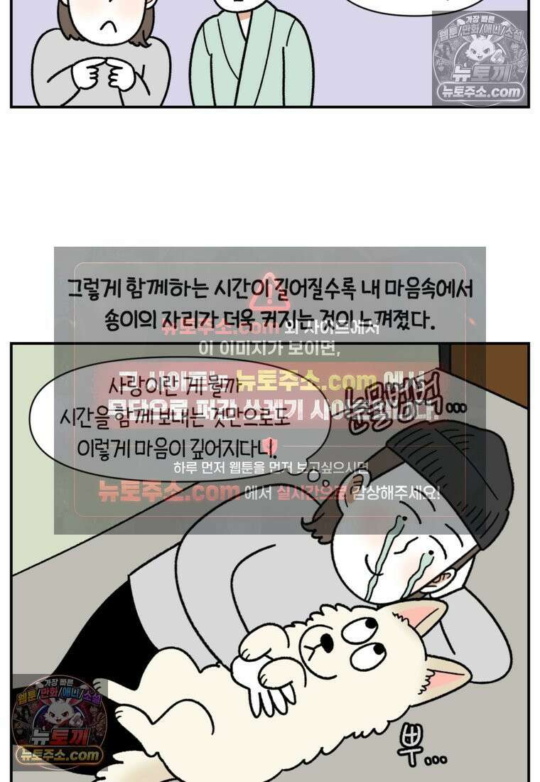 극한견주 시즌2 122화 임시보호 기간 15