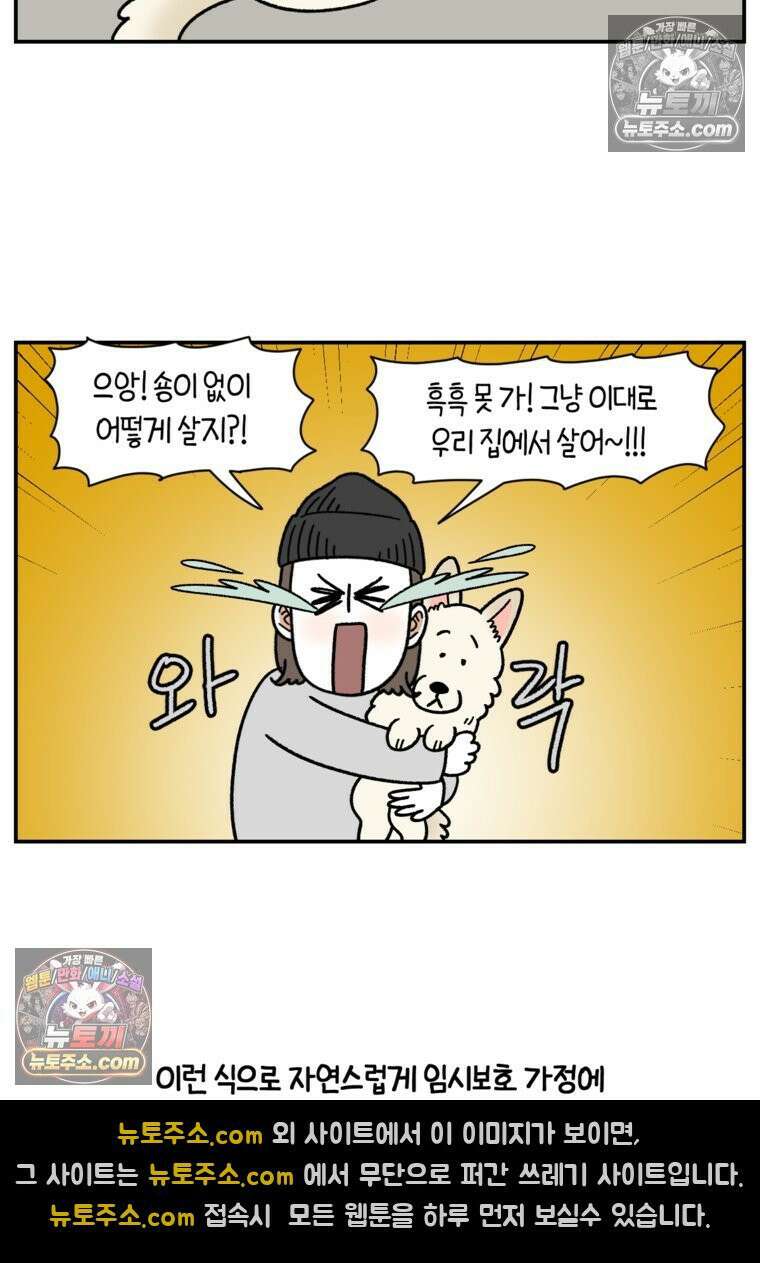 극한견주 시즌2 122화 임시보호 기간 16