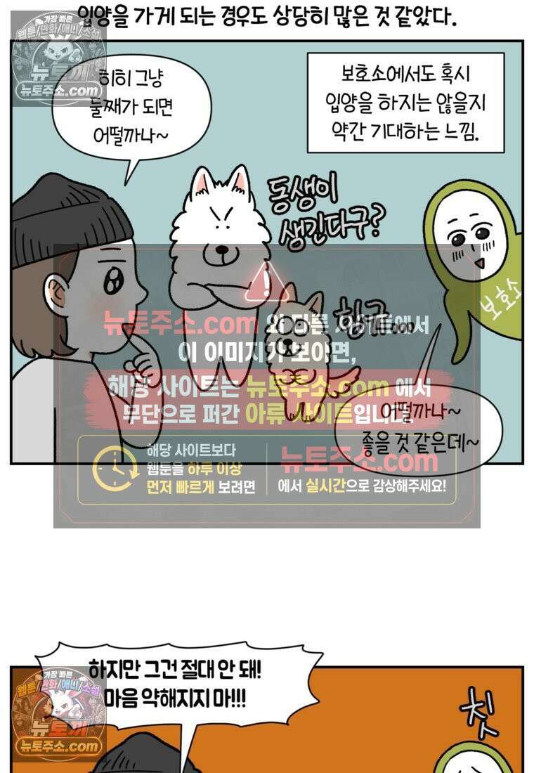 극한견주 시즌2 122화 임시보호 기간 17