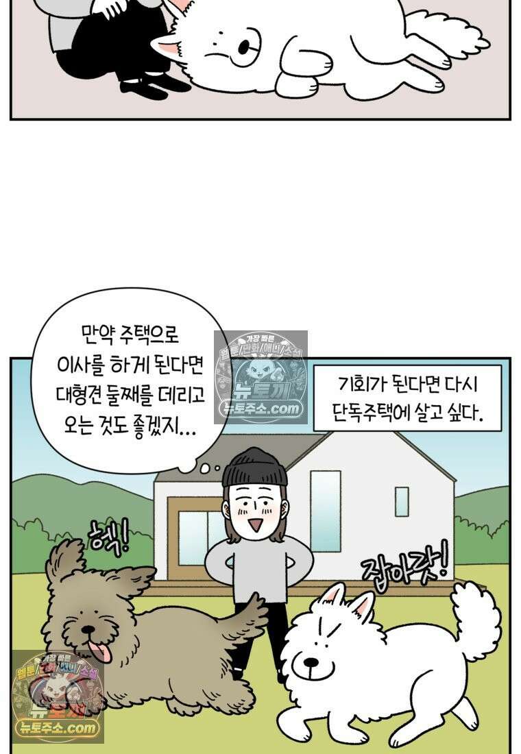 극한견주 시즌2 122화 임시보호 기간 19