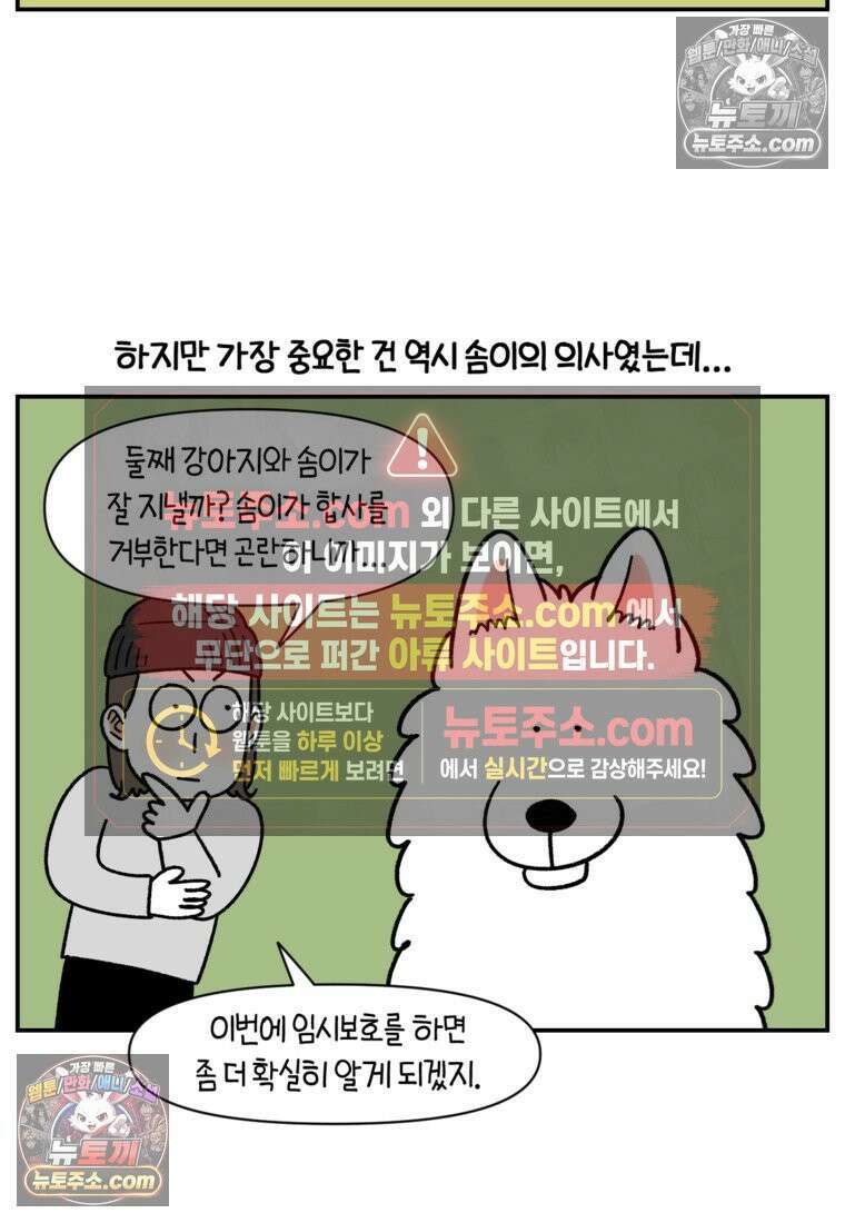 극한견주 시즌2 122화 임시보호 기간 20