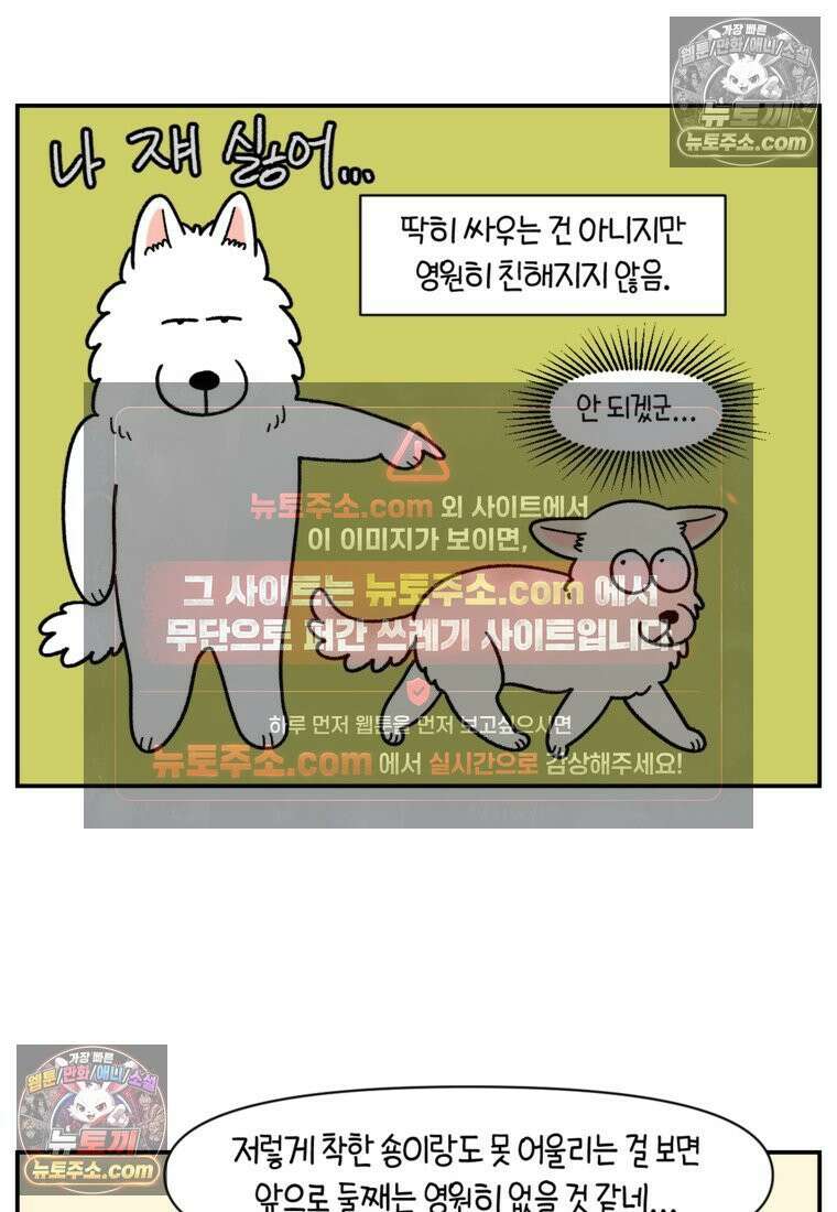 극한견주 시즌2 122화 임시보호 기간 21