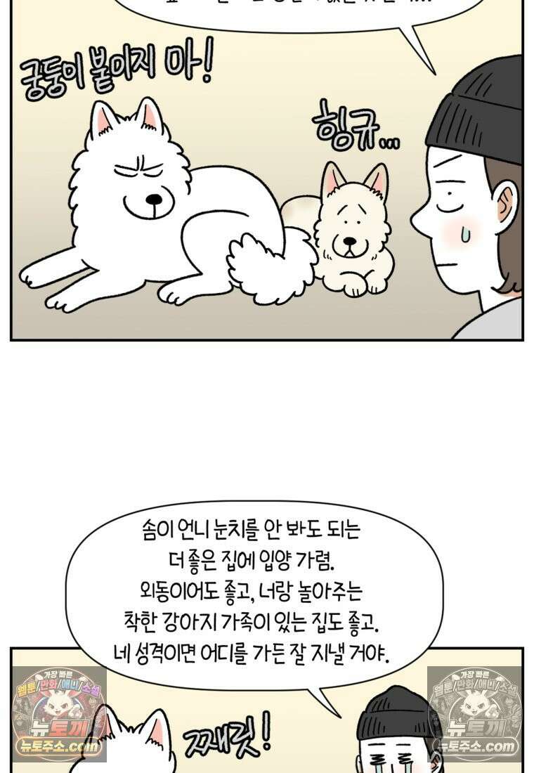 극한견주 시즌2 122화 임시보호 기간 22