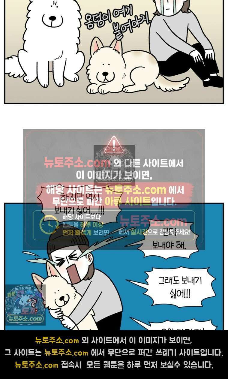 극한견주 시즌2 122화 임시보호 기간 23