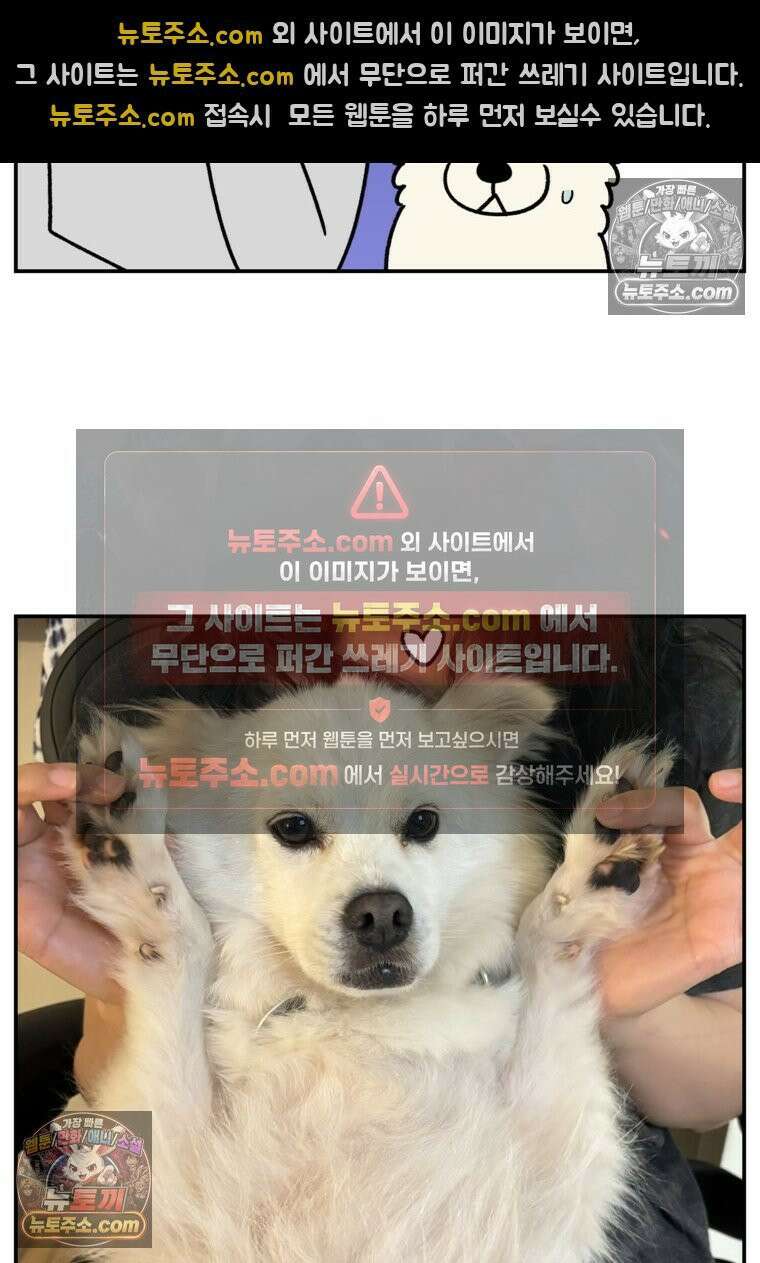 극한견주 시즌2 122화 임시보호 기간 25