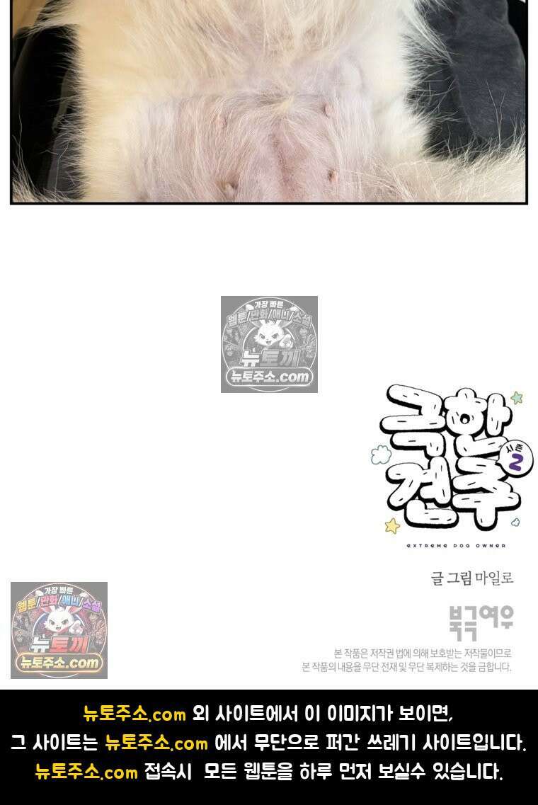 극한견주 시즌2 122화 임시보호 기간 26