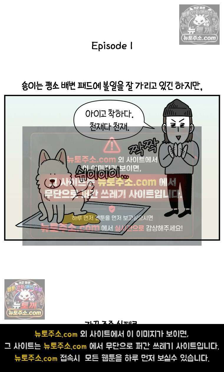 극한견주 시즌2 130화 밥솥 강아지들 2