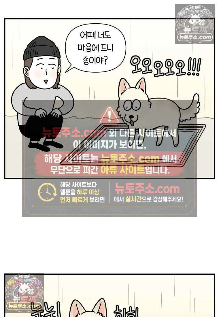 극한견주 시즌2 130화 밥솥 강아지들 7