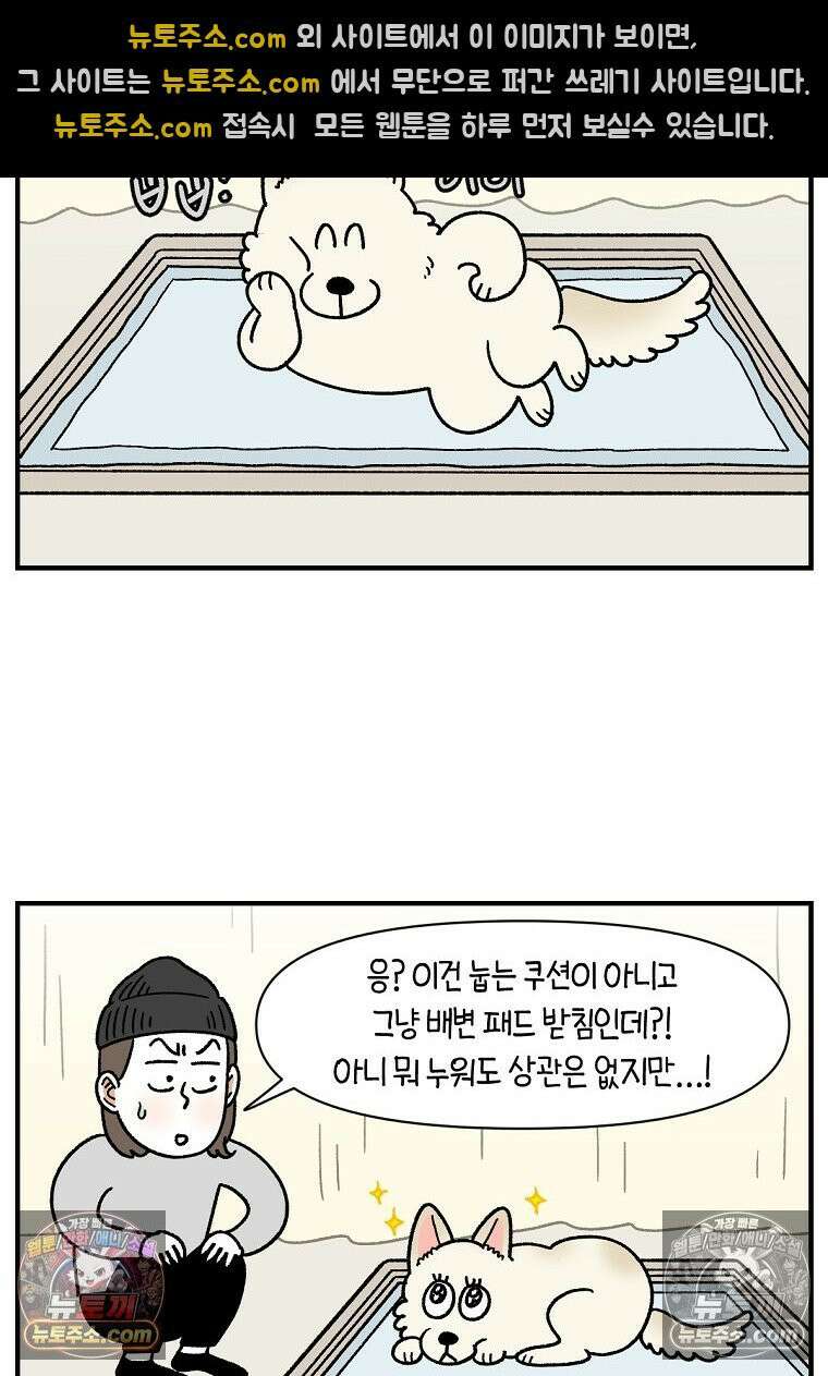 극한견주 시즌2 130화 밥솥 강아지들 8