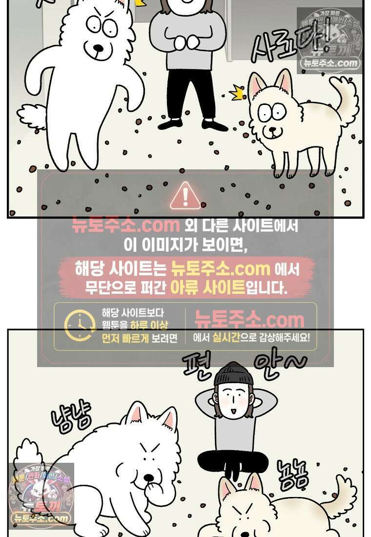 극한견주 시즌2 130화 밥솥 강아지들 18