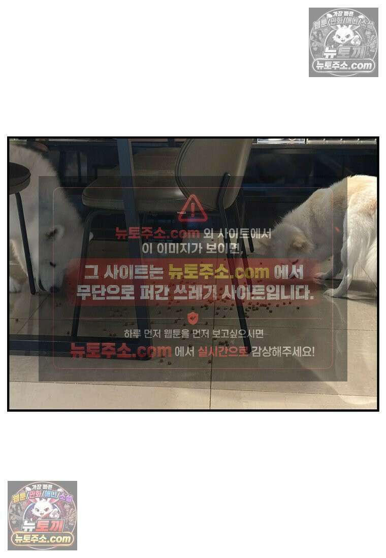 극한견주 시즌2 130화 밥솥 강아지들 20