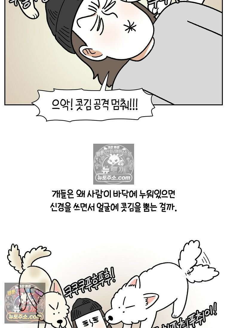극한견주 시즌2 130화 밥솥 강아지들 24