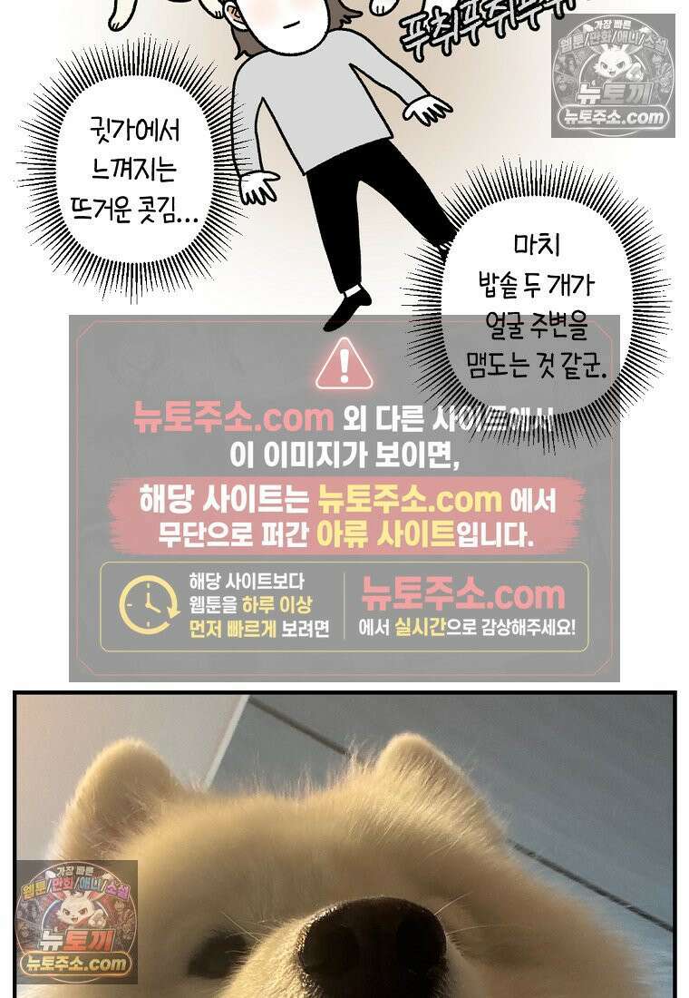 극한견주 시즌2 130화 밥솥 강아지들 25