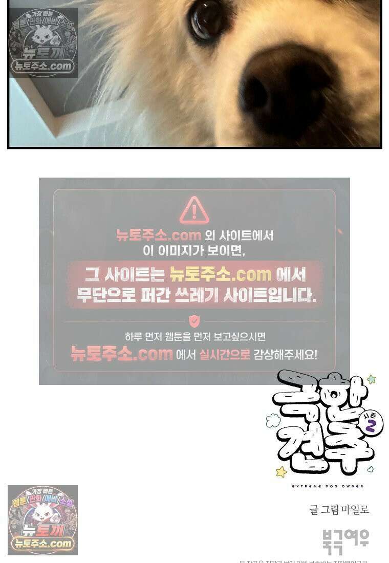 극한견주 시즌2 130화 밥솥 강아지들 27