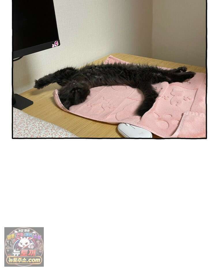 먼지 덩어리 짱덕 2． 화장실에 가요 37