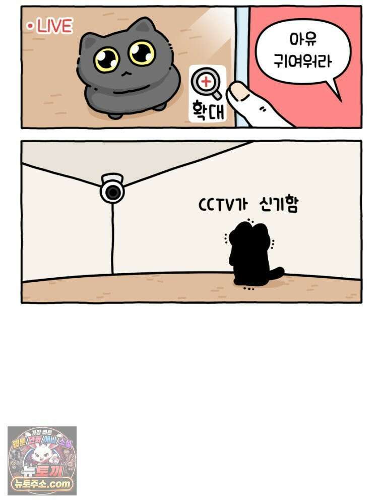 먼지 덩어리 짱덕 17． 고양이 두고 여행가기 2 7