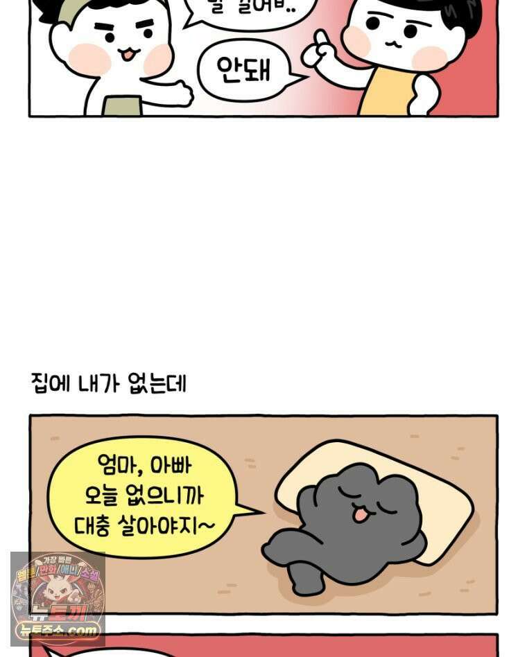 먼지 덩어리 짱덕 17． 고양이 두고 여행가기 2 9