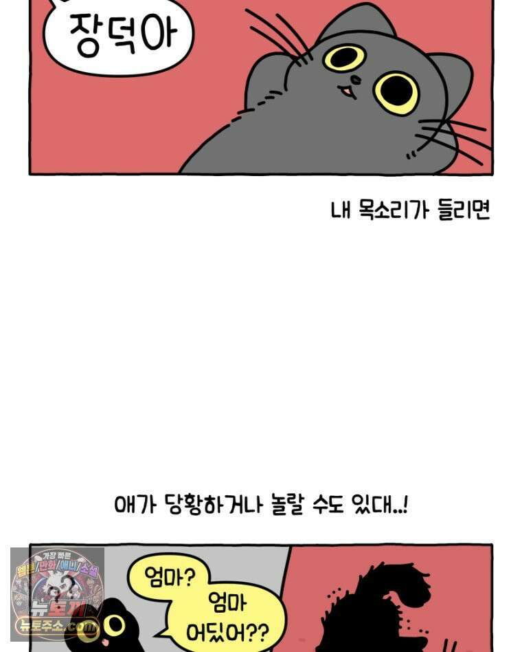 먼지 덩어리 짱덕 17． 고양이 두고 여행가기 2 10