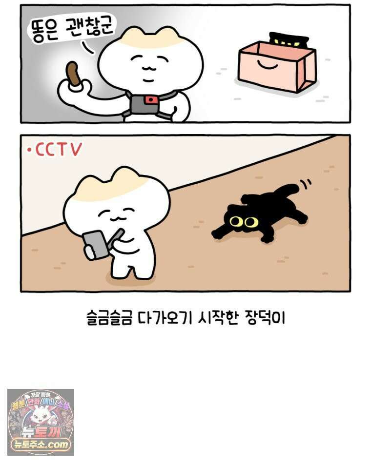 먼지 덩어리 짱덕 17． 고양이 두고 여행가기 2 21