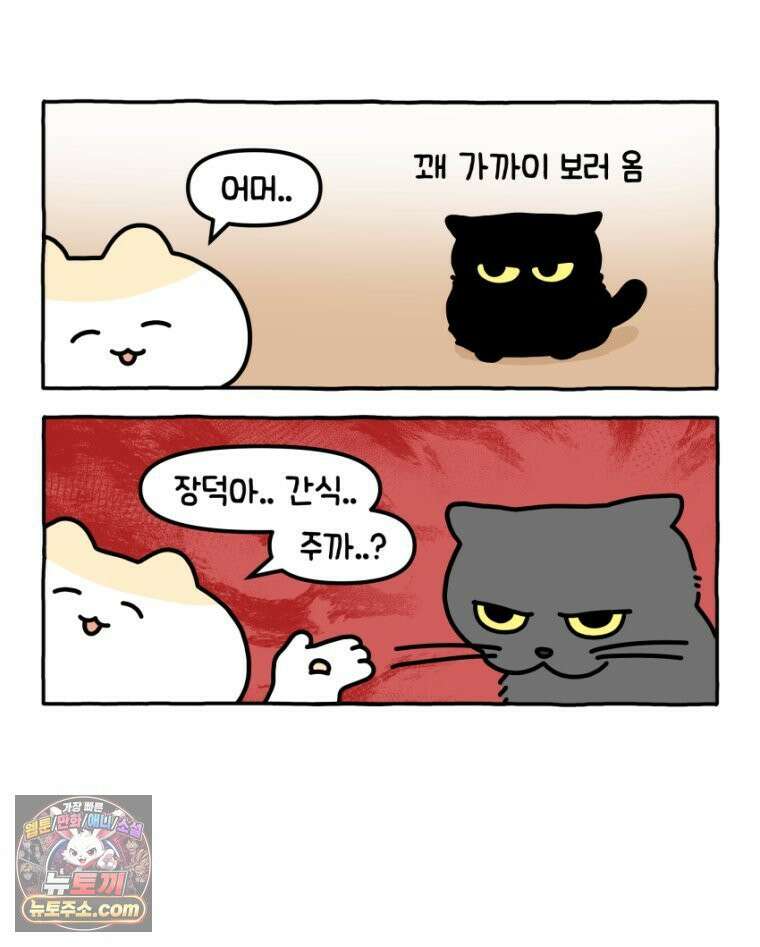 먼지 덩어리 짱덕 17． 고양이 두고 여행가기 2 22
