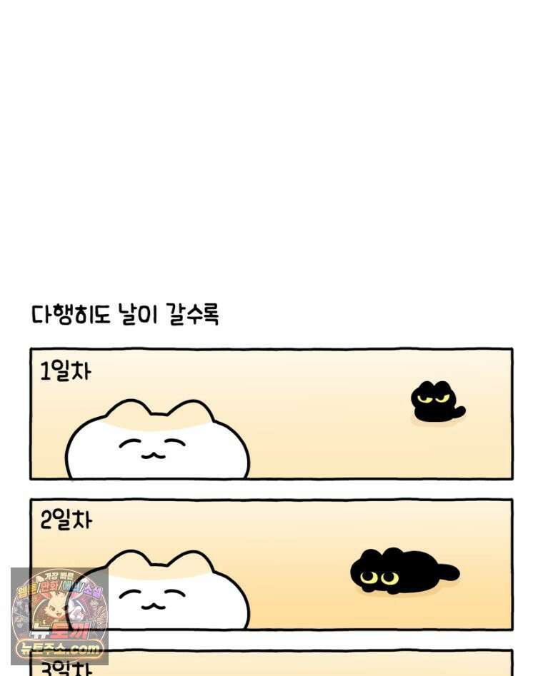 먼지 덩어리 짱덕 17． 고양이 두고 여행가기 2 26