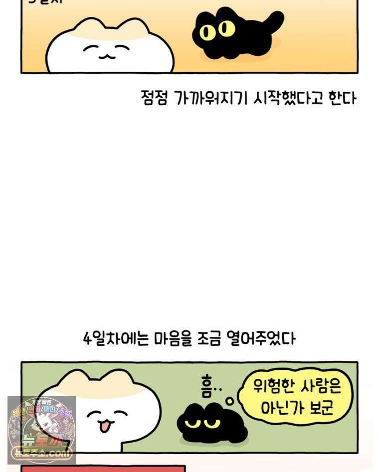 먼지 덩어리 짱덕 17． 고양이 두고 여행가기 2 27