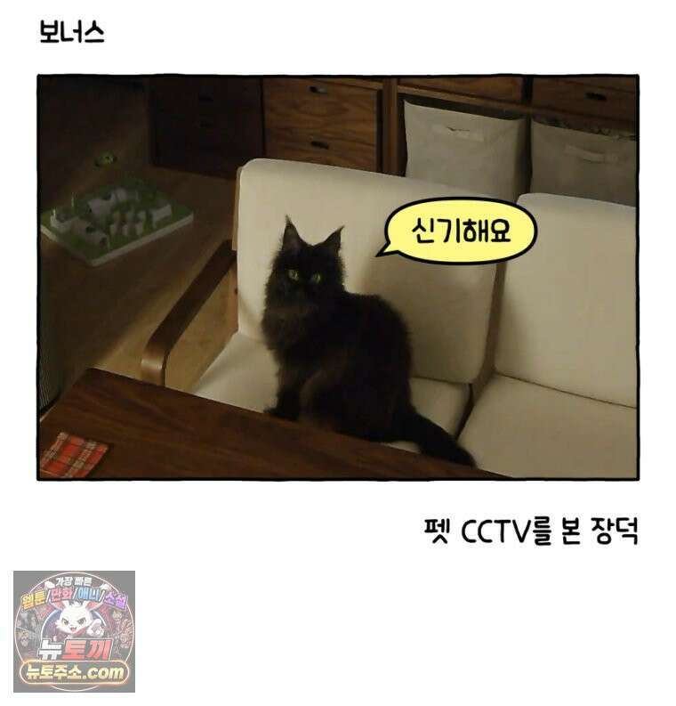 먼지 덩어리 짱덕 17． 고양이 두고 여행가기 2 36