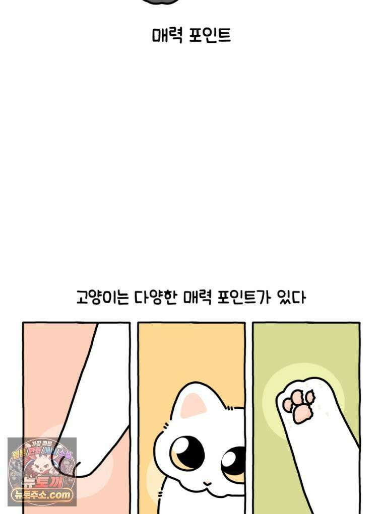 먼지 덩어리 짱덕 32． 매력 포인트 2