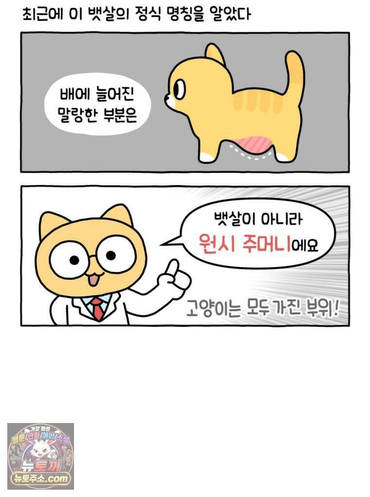 먼지 덩어리 짱덕 32． 매력 포인트 15