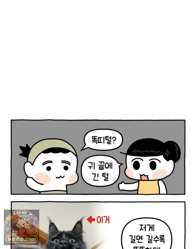 먼지 덩어리 짱덕 32． 매력 포인트 23